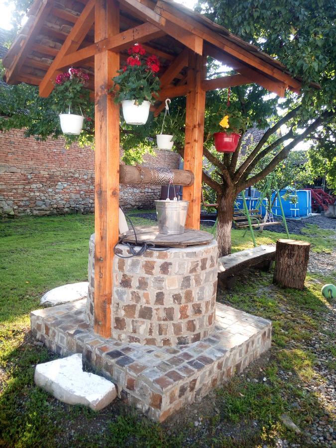 Casa Din Barcut Guest House Ngoại thất bức ảnh