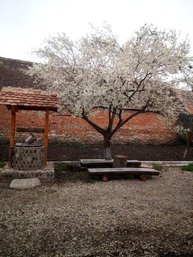 Casa Din Barcut Guest House Ngoại thất bức ảnh